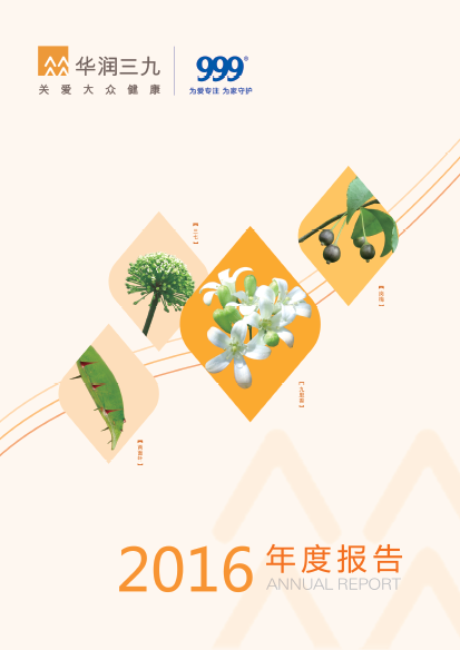 尊龙时凯：2016年年度报告